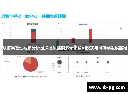 从财务管理视角分析足球俱乐部的多元化盈利模式与可持续发展路径