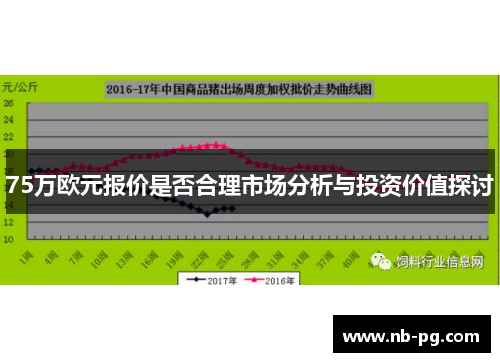 75万欧元报价是否合理市场分析与投资价值探讨