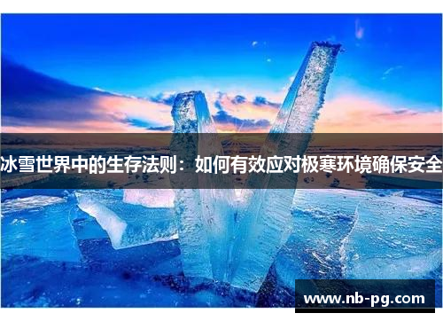 冰雪世界中的生存法则：如何有效应对极寒环境确保安全