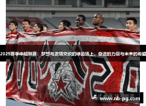 2025赛季中超联赛：梦想与激情交织的绿茵场上，奋进的力量与未来的希望