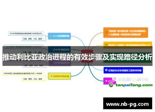 推动利比亚政治进程的有效步骤及实现路径分析