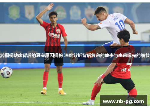 武桐桐缺席背后的真实原因揭秘 深度分析背后复杂的故事与未曾曝光的细节