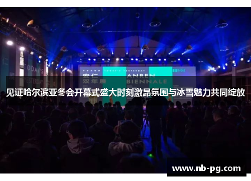 见证哈尔滨亚冬会开幕式盛大时刻激昂氛围与冰雪魅力共同绽放