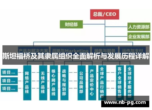 斯坦福桥及其隶属组织全面解析与发展历程详解