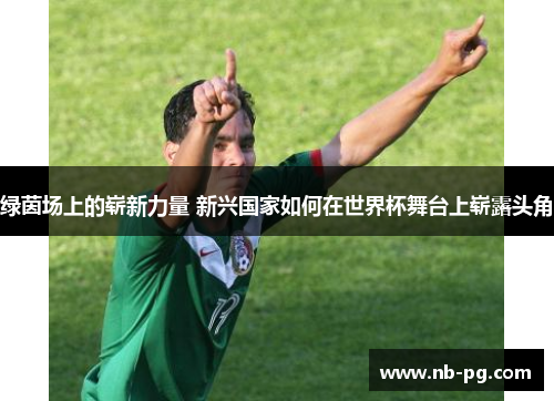 绿茵场上的崭新力量 新兴国家如何在世界杯舞台上崭露头角