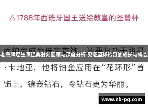 老詹辉煌生涯经典时刻回顾与深度分析 见证篮球传奇的成长与蜕变